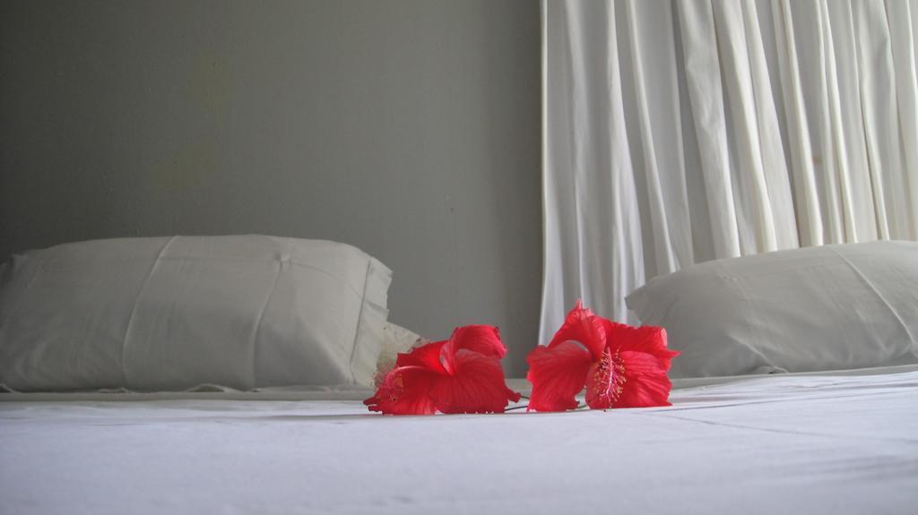 Casa De Samuel Lobrito Fernando de Noronha Room photo